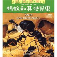 螞蟻和其他昆蟲