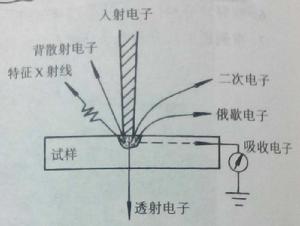 背散射電子