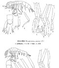 優細近慎戎