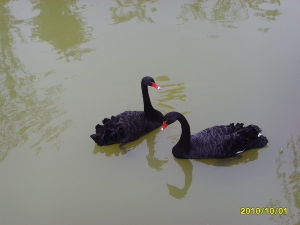 總投資4.5億元，新動物園堪稱華東之最