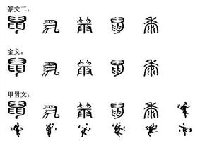 鼠[漢字釋義]