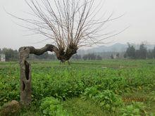 蓬州古城遺址，古老滄桑，