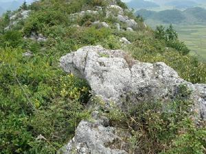 張家口虎窩山