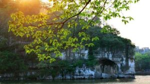 桂林訾洲島景區