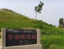 Linquan county
