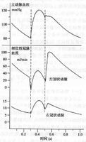 一個心動周期中左右冠狀動脈血流的變化