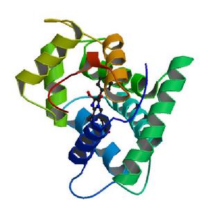 http://www.rcsb.org/pdb/explore/explore.do?structureId=1EJ3