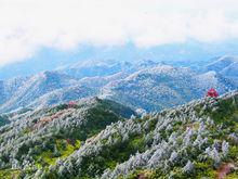 戴雲山