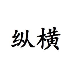 縱橫[漢語詞語]