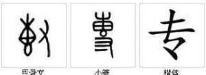 “專”字源演變