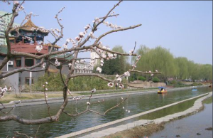 元大都土城遺址公園