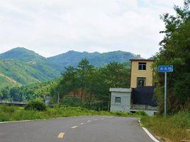 水頭村[江西省贛州市安遠縣天心鎮水頭村]