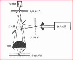 共焦顯微