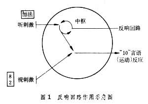 反響迴路