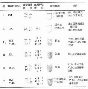 脂蛋白血症