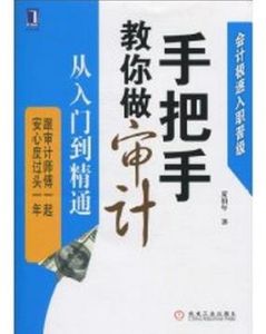 手把手教你做審計從入門到精通