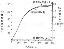 氧離曲線