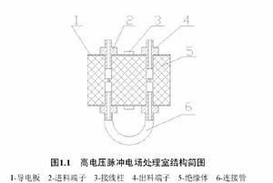 高電壓脈衝電場浸提技術