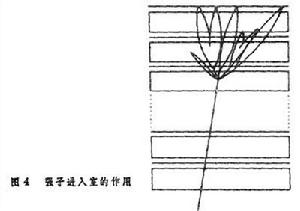 宇宙線的觀測