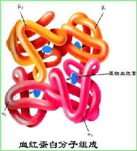 原發性單克隆免疫球蛋白病