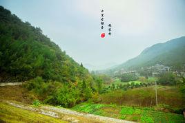 楊家村[雲南省姚安縣光祿鎮舊城村委會楊家村]