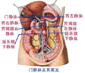 腸系膜囊腫