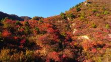 仙台山[河北省井陘縣仙台山]