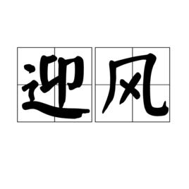 迎風[詞語]