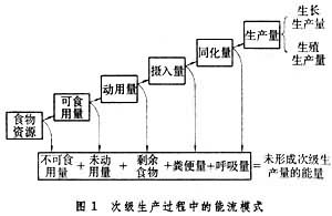 生物生產力