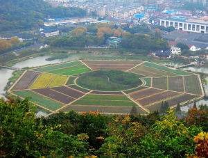 杭州八卦田