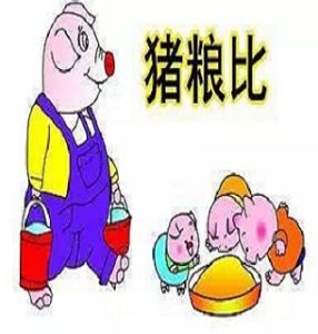 豬糧比