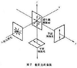 線偏振光