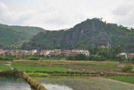 白石鎮[廣東省雲浮市雲安區白石鎮]