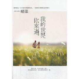 我的世界你來過[圖書]