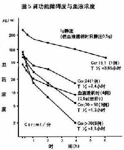 倍司特克