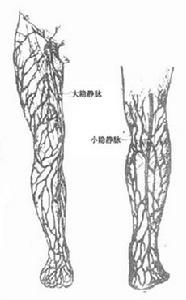 斷肢再植