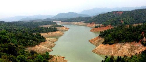 汀江永定縣棉花灘水電站上游洪山鄉段