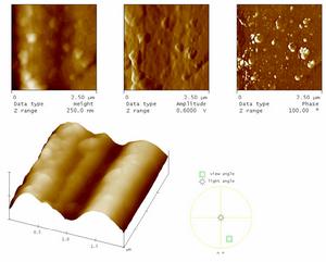 珍珠纖維掃描探針顯微鏡圖片