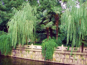 蘭溪青年公園