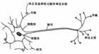 生物控制論