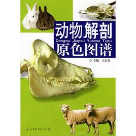 動物解剖原色圖譜