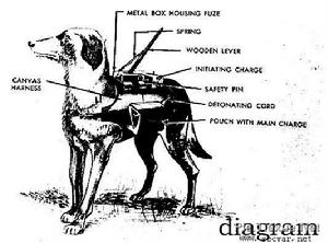 蘇軍反坦克軍犬圖解