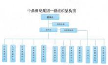 中鼎世紀集團一級組織架構圖