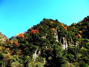 蜂桶寨風景