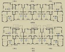 板塔結合樓盤戶型圖