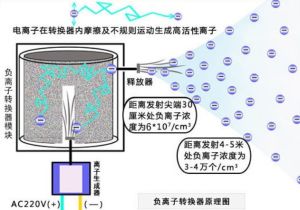 森肽基負離子發生器