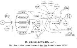 能值分析