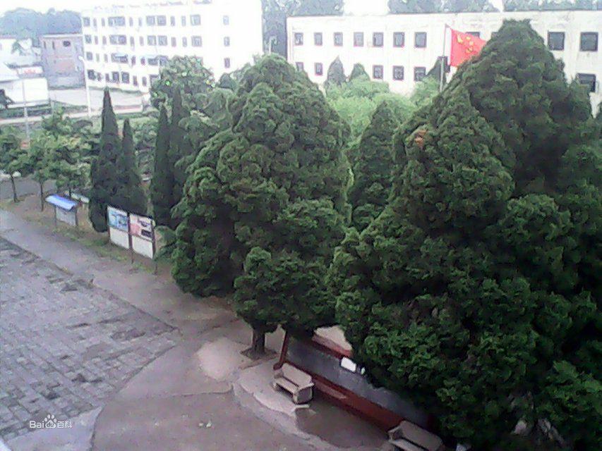 鎮平二高