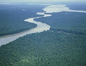 亞馬遜河中心保護區