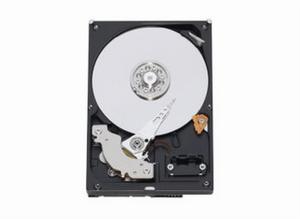 希捷500GB/7200轉/SATA(ST9500620NS)